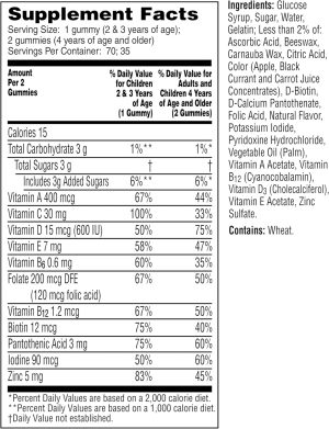 FLINTSTONES™ COMPLETE GUMMIES MULTIVITAMIN